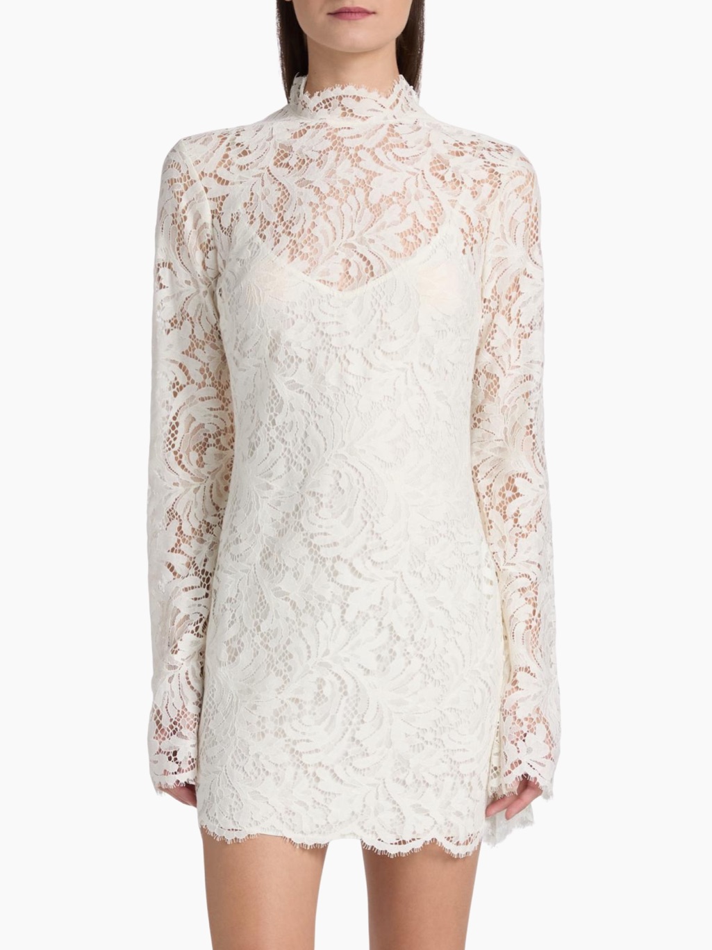 A.L.C. Ivory Eden Botanical Lace Mini Dress